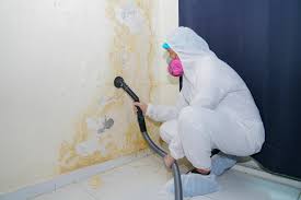 Best Forensic Mold Investigation in USA